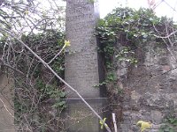 46Rosenthal und Kassowitz